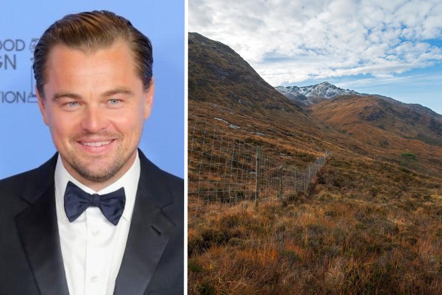 NEW: Leonardo DiCaprio has joined Scottish environmentalists in urging ministers to declare the country a rewilding nation. The American star took to Instagram to share the message of the Scottish Rewilding Alliance with his 61.1 million followers.
