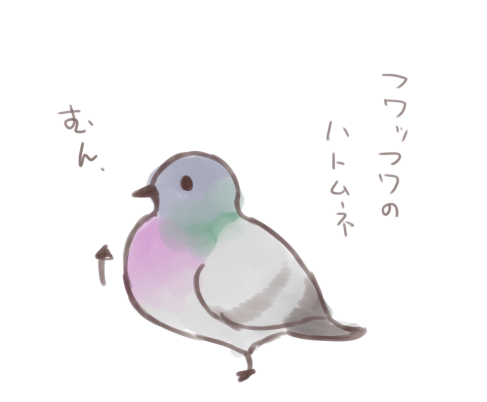 TLに鳩がいたので 