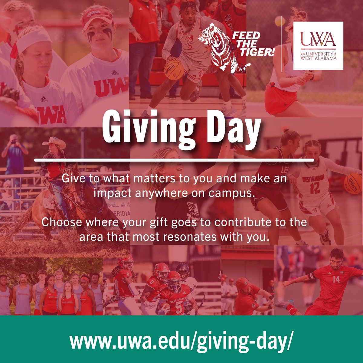 Please take a moment and see how your generosity can impact our student-athletes in such a positive way. Give to what matters...