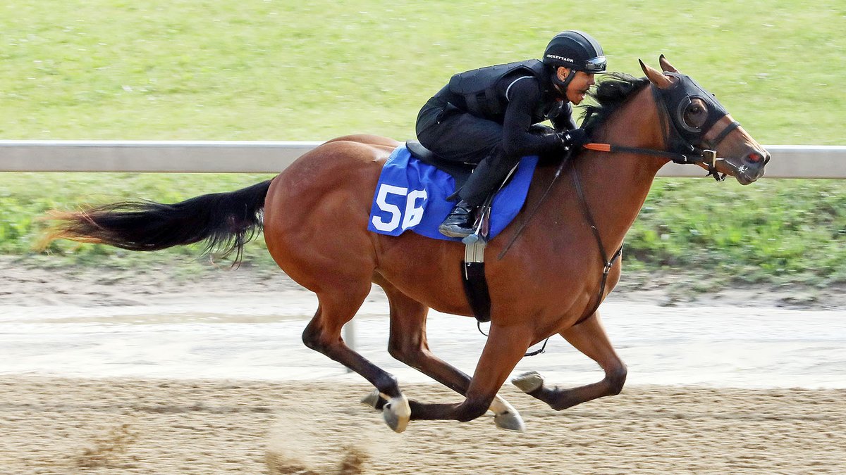 🏇 Entries are OPEN for the Midlantic June 2YO Sale! #FasigMD Enter now 👉 fasigtipton.co/clientportal