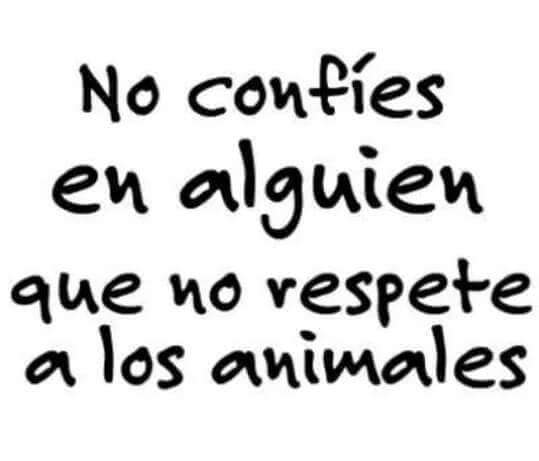 RECUERDA 🙌 🔴 NO Confíes en alguien que MALTRATA, LASTIMA, VIOLENTA, ABUSA SEXUALMENTE y/o MATA Animales 🔴 NO hagamos de la VIOLENCIA una COSTUMBRE. NO más VIOLENCIA hacia Humanos y No Humanos! #PorUnMexicoSinViolencia #NoAlMaltratoAnimal #NoALaViolenciaHaciaAnimales #Mexico