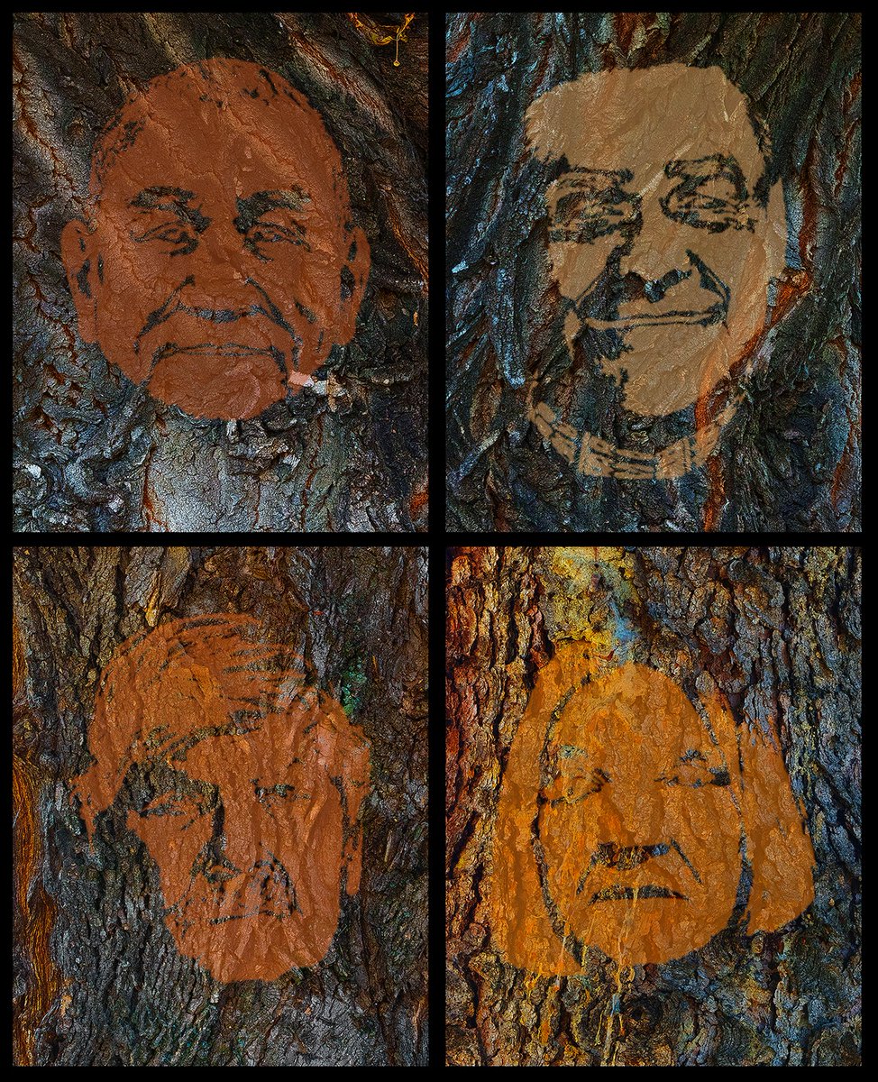 More Alberta trunks photographed by Peace River High School students with portrait images of Residential School survivors (UL – Dwayne), (UR – Lewis), (LR – Cynthia) and (LL – Bill). These trunk images will be used in the Spirit Circle component of The Forest – Common Ground ®…