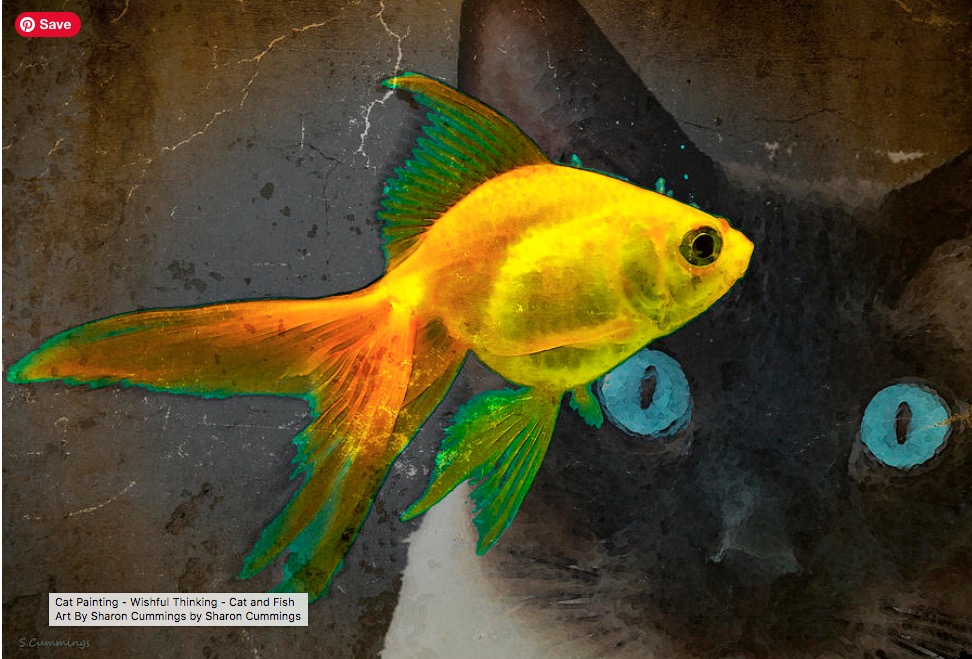 Wishful Thinking Cat HERE:  fineartamerica.com/featured/wishf… #cat #catlady #meow #kitty #kitties #kitten #kittens #buyINTOART #FillThatEmptyWall #colorful #art #animals #pets #fish #goldfish