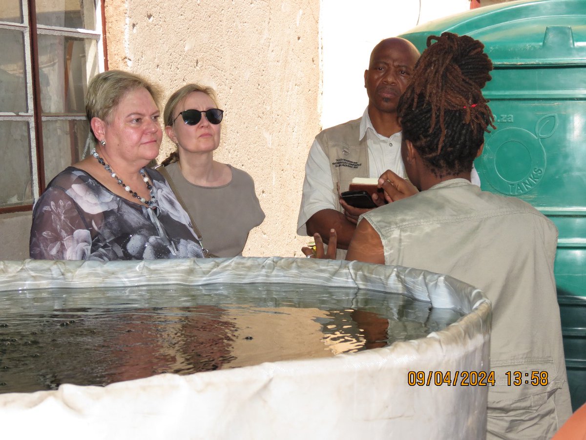 hafltaem's tweet photo. #Aquaponic #Aquaculture.
Jwale Farms based in Limpopo GA Matlala Semananeg Rural Village, welcomes visitors from VTT Finland, CSIR South Africa, Department of Agriculture  Limpopo, Agritourza(Mlab) and Community Members to their newly built Aquaponi fish Farm. https://t.co/RXdvxoOHEa