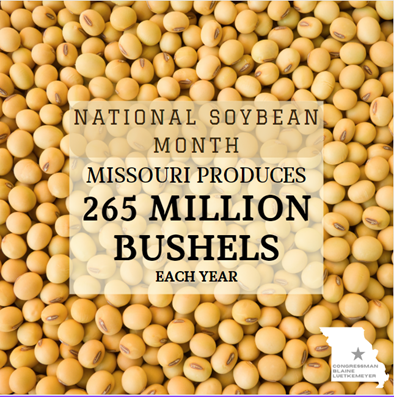 #Missouri is one of the leading producers of soybeans in the U.S. Thank you to all of our farmers who are keeping #MissouriAG thriving and are feeding our communities and livestock. #NationalSoyfoodsMonth #NationalSoybeanMonth