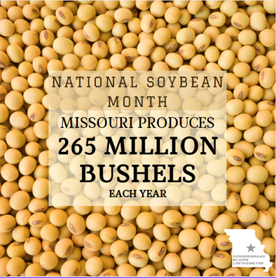 #Missouri is one of the leading producers of soybeans in the U.S. Thank you to all of our farmers who are keeping #MissouriAG thriving and are feeding our communities and livestock.
#NationalSoyfoodsMonth #NationalSoybeanMonth