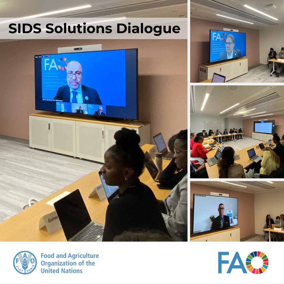 Director of EST Boubaker Ben-Belhassen gave an overview of #SIDS situation about their food&agriculture trade | Highlighting ➡️The common characteristics of SIDS, as well as various differences ➡️SIDS dependency on imports of food&agricultural products to feed their populations