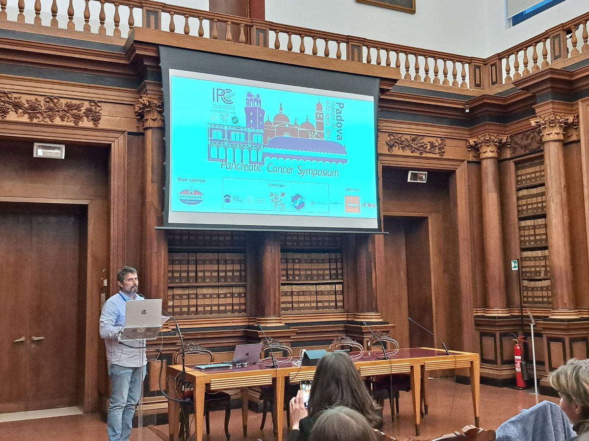 Sara Lovisa tweet media