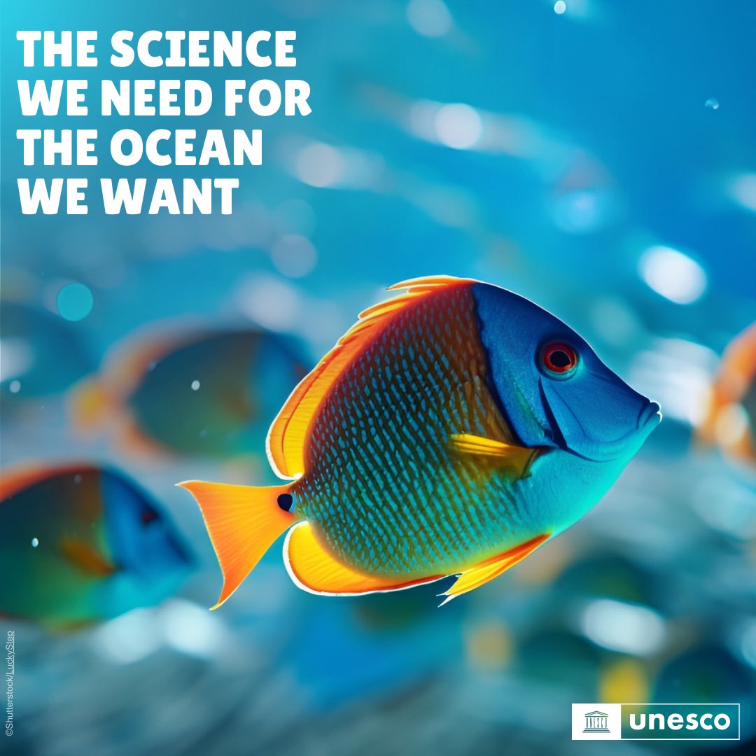 Our oceans face unprecedented challenges, including #ClimateChange, biodiversity loss and pollution.

This week’s #OceanDecade24 Conference explores ways to deliver the science needed to #SaveOurOcean.

Details: oceandecade-conference.com/home.php