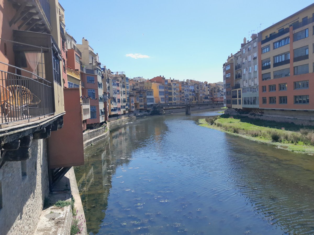 FiladelfiaGene1's tweet photo. Such a pleasure to back in Girona for the #EPIPED course on treatment strategies in pediatric epilepsies 🤩
Fabulous talks, fruitful discussions & great collaborative atmosphere 😍
The course is highly recommended 💪
#Epilepsy 💜 #StrongerTogether
@ARZIMANOGLOUAL1
@EpiCARE https://t.co/ATzErfaUqq