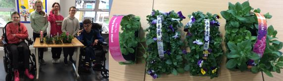 Thank you to <a href="/cherrylaneGC/">Cherry Lane Garden Centres</a>  in Clent for the donation of £20 during P13’s visit this week. They purchased some bedding plants that will be planted during their gardening lessons.