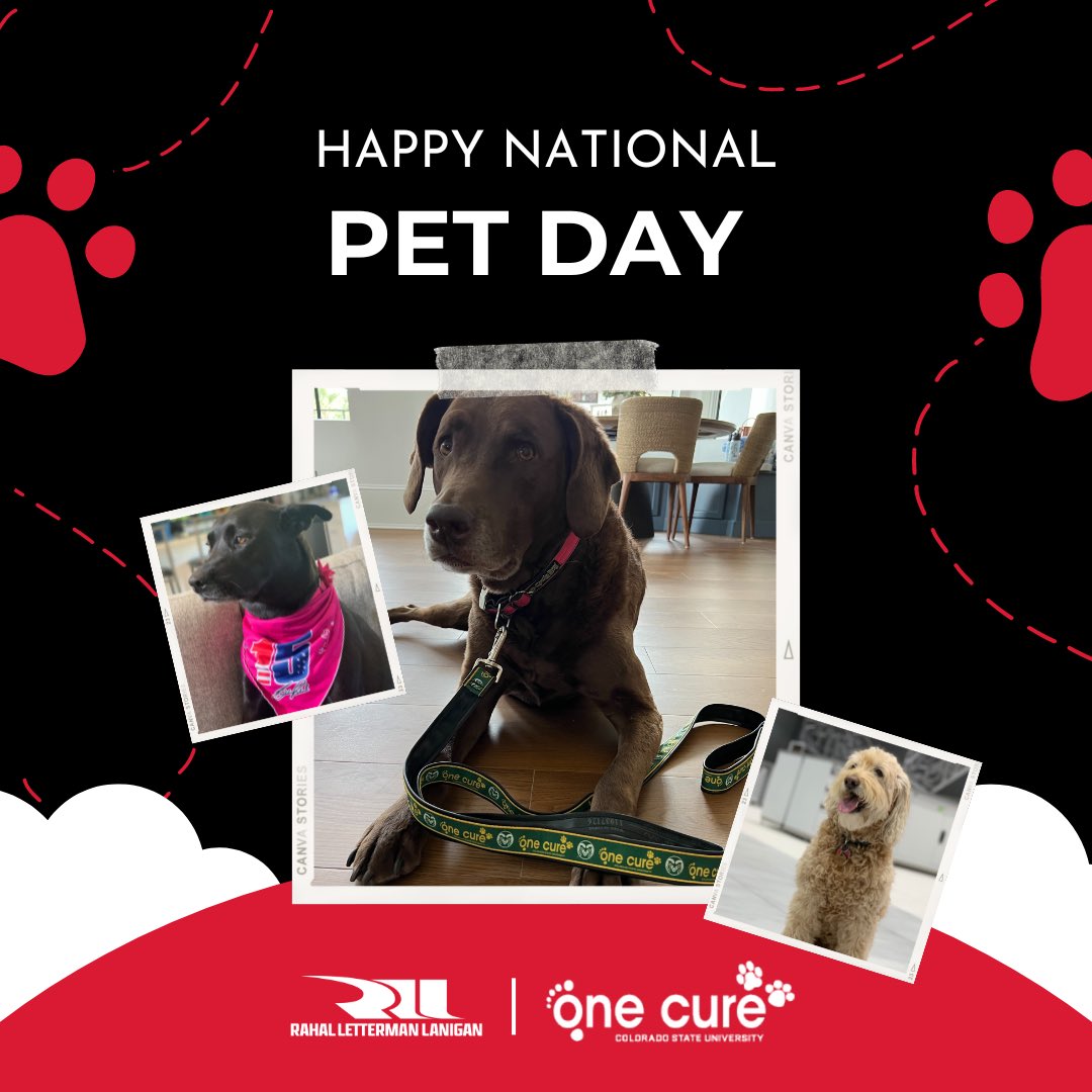 Happy #NationalPetDay🐾 Taking a moment to say how grateful we are for organizations such as @CSUOneCure, a proud partner on the No. 15 Honda, who work to improve the prevention, diagnosis, and treatment of cancer in pets.