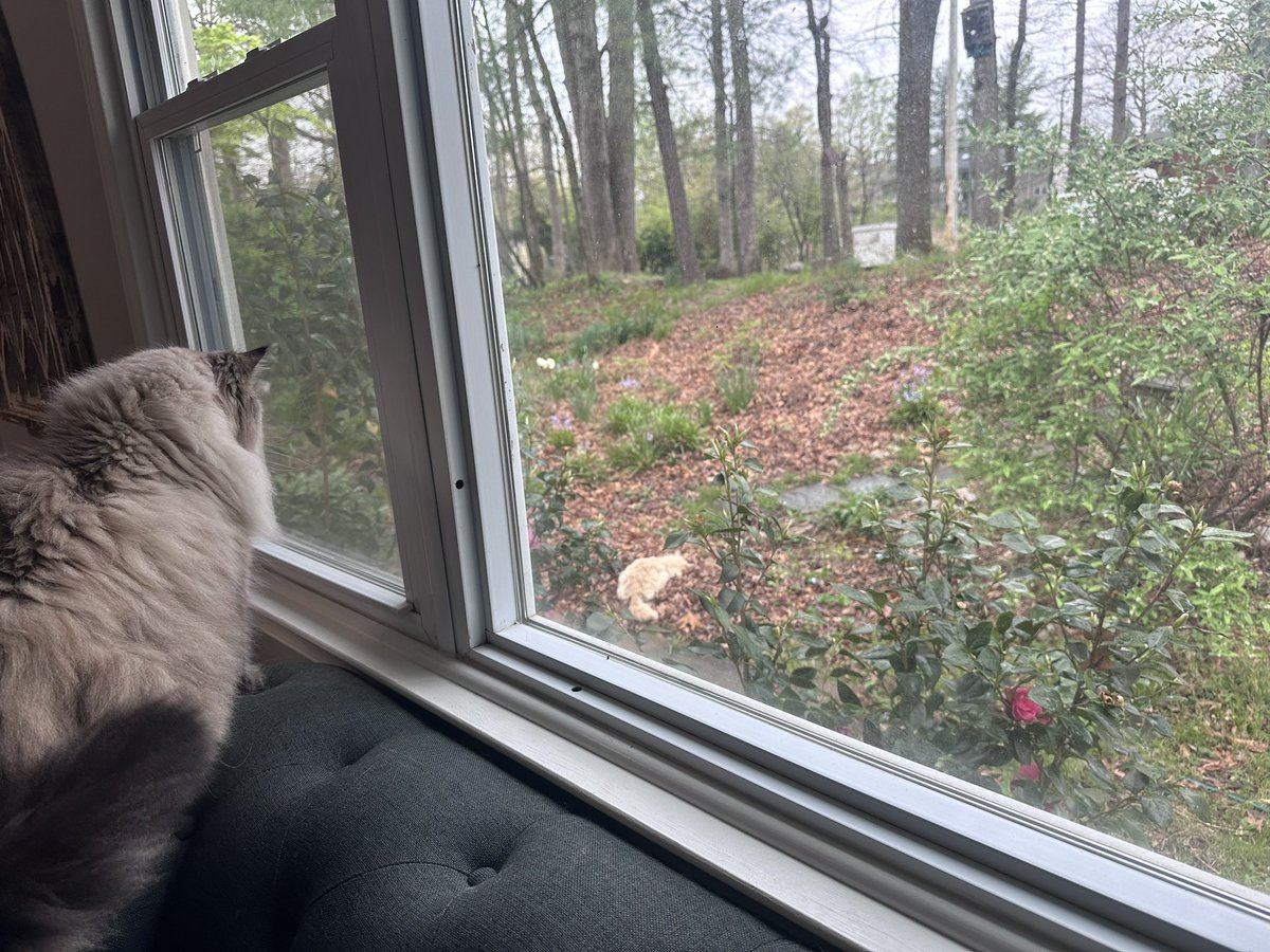 Valerie Insinna tweet media