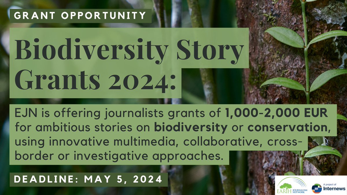 📣STORY GRANT ALERT! EJN is offering 1,000-2,000 EUR for biodiversity or conservation stories covering topics including threats to species diversity, environmental crime tracking methods, innovative conservation solutions and more. Apply by May 5, 2024: loom.ly/PA_R4Q8