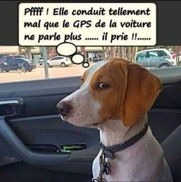 Quel cabot ‼️🤭😅😂🤣🤣