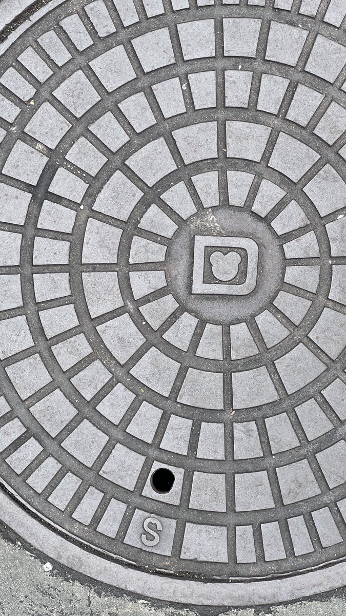 #hiddenmickey anyone look closely at the manhole covers?