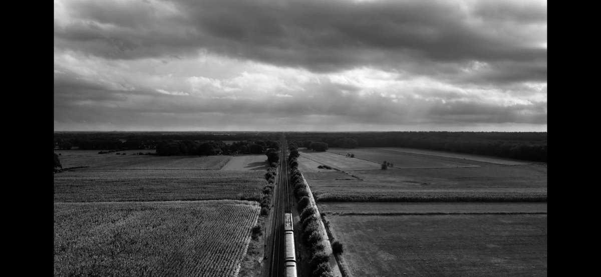 The new Ripley show is surprisingly impressive. I had my doubts since no other adaptation come close after Purple Moon and American Friend. but this one really excells at. It's shot fantastically by Robert Elswit, and the attention to detail to create that era is so crazy