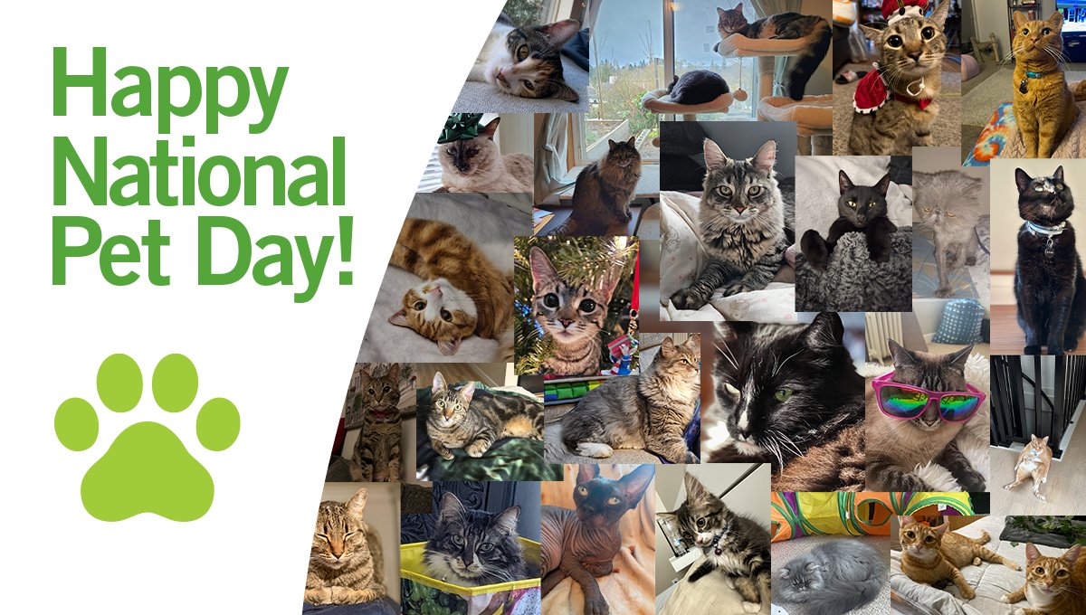 Happy #NationalPetDay! Today we are celebrating our furry friends by sharing a glimpse into the adorable pets of Virginia Mason Franciscan Health. Join us in celebrating National Pet Day by sharing a photo of your furry friend in the comments below!