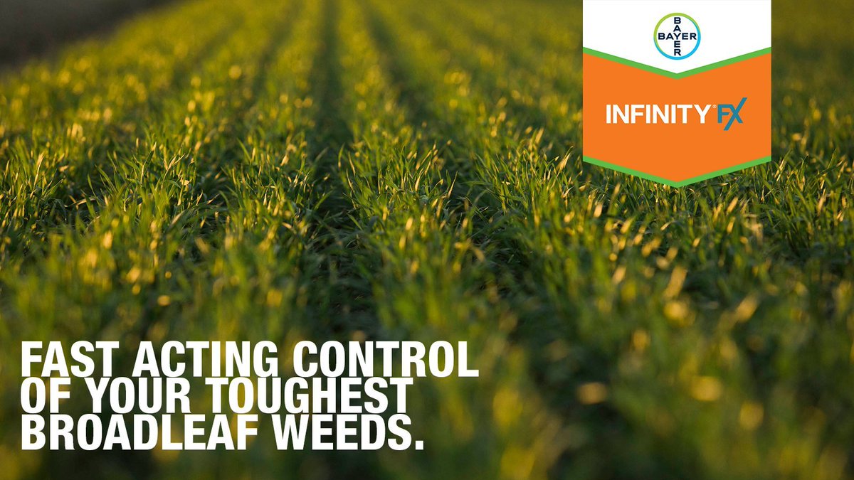 Growing #winterwheat? Early weed control is key to protecting yield. Get out there & scout shortly after emergence 🌱

Check for weeds that have emerged and remember T1 is optimal herbicide timing in winter wheat.

#InfinityFX will help you with control: spr.ly/60173hRW1