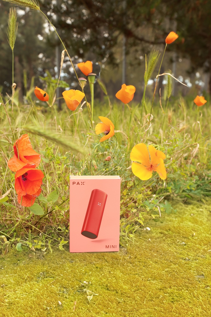 Florals for spring, groundbreaking. PAX Mini, now available in Poppy just in time for spring. l8r.it/u2hi