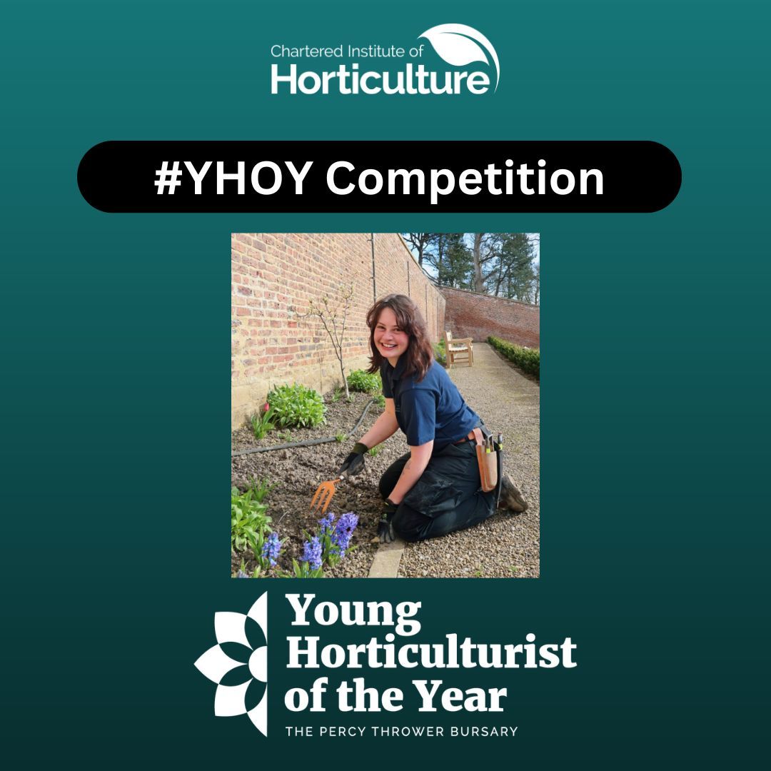 Lucy Whitehead is the Northern Finalist at this year’s #YHOY competition Grand Final. She is currently a Gardener at Auckland Castle where she cares for the 17th Century walled garden. We wish Lucy the best of luck at the Grand Final! #YHOY@CIHort