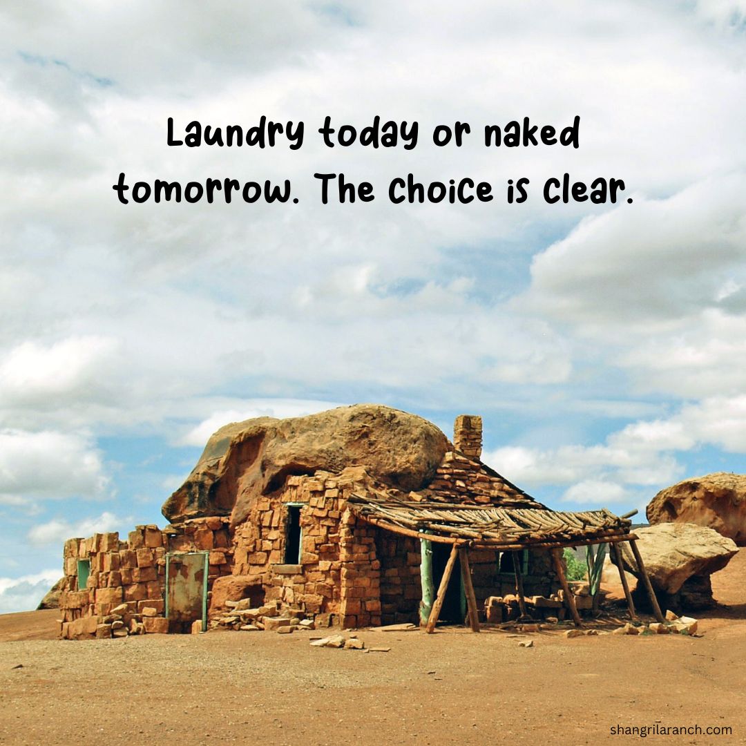 🌎 Laundry today or naked tomorrow – choose eco-friendly nudity! #SaveTheEnvironment #EcoNudity shangrilaranch.com