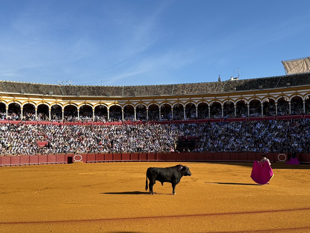 Venimos hasta Sevilla para comprobar eso que dicen los animalistas de que los toros ya no interesan a nadie…