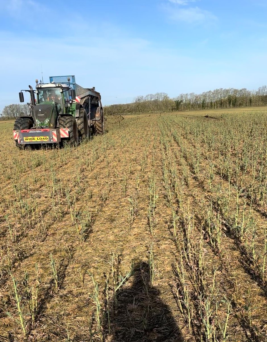 Pxfarms's tweet photo. Great work by James Sapsed and his team getting the Chicken Manure spread on the first block. https://t.co/6FAn3RNxPX