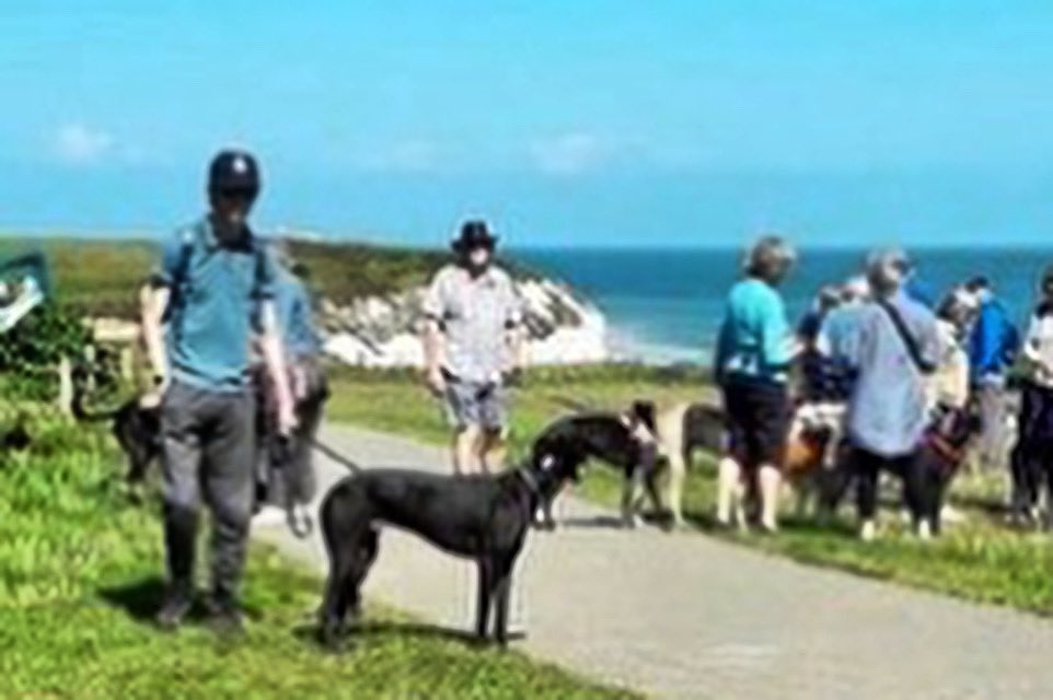 A reminder if you’re looking for something to do this Sunday morning ‼️ Come along to the Botany Bay walk, Sunday 14th April 10 am for 10:15 start, with your hound(s) and catch up with everyone. We meet outside Botany Bay Hotel on the green.