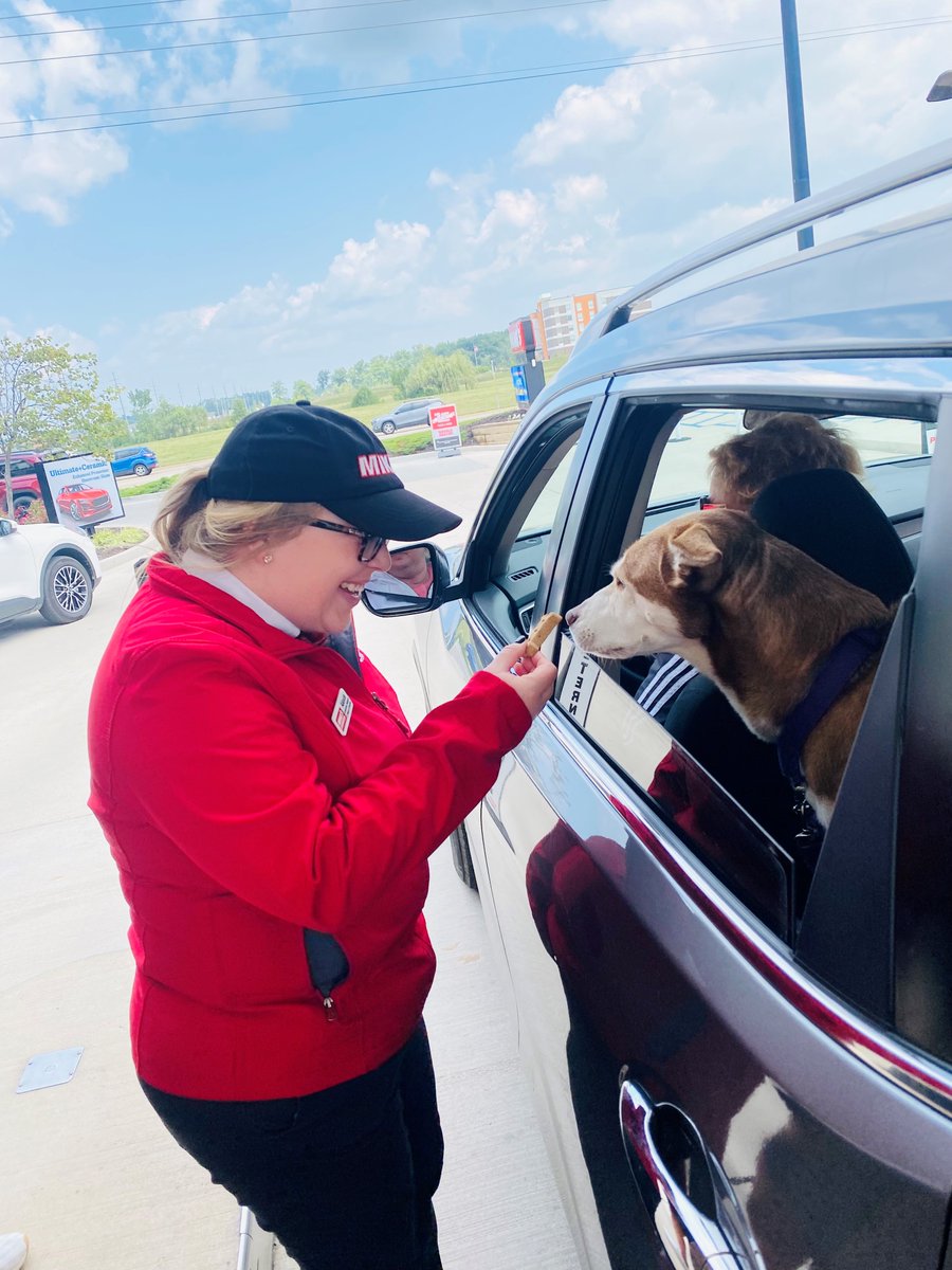 Happy #NationalPetDay! 🐾 Shoutout to all the adorable co-pilots who ride along through the wash with their companions! Share pics of your furry passengers below!