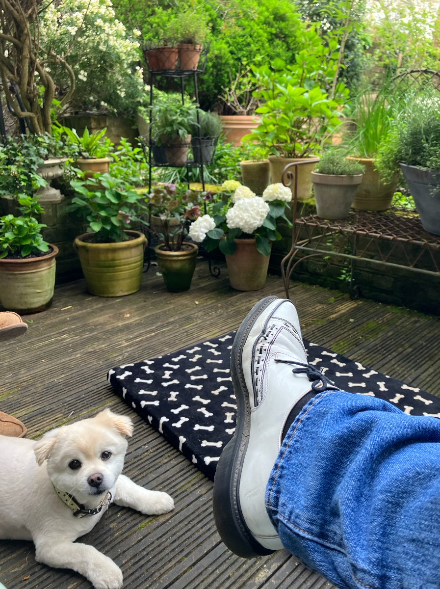 Our first evening of 2024 spent in the garden. Combination of Spring being sprung and Wendy's hard work these last few weeks. Also Bear, the world's most photogenic dog. (His brother TinTin a distant second).