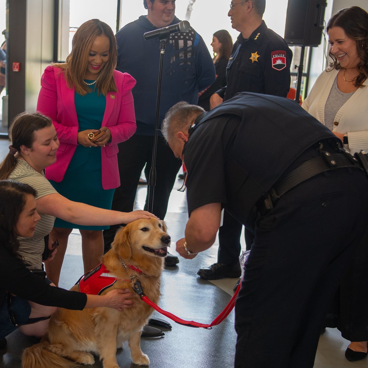 🗞️ Exciting news this #NationalPetDay! Meet Hope, our newest team member and Comfort K9! 🦮 Officially sworn in for duty on 4/10, Hope is here to spread joy and provide emotional support across #Waubonsee's four campuses. #WaubonseeWin 🐾 Read more: brnw.ch/21wIJpR