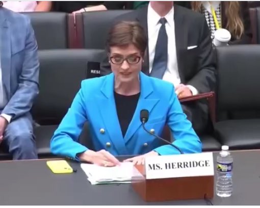 BREAKING: Fired and silenced former @CBS correspondent Catherine Herridge (@CBS_Herridge), who is known for her Hunter Biden laptop reporting before she was sacrificed, gives an opening statement to the House Committee Hearing on the Press Act.