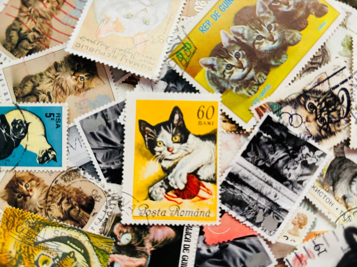 Restocked Packs - Cats Stamps. simplypostagestamps.etsy.com/listing/161343… #cat #cats #furryfriends #catstamps #stampcollection #stampcollector #philatelycollectors #stamps #philatey #philatelic #mhhsbd #craftbizparty #earlybiz #postagestamps