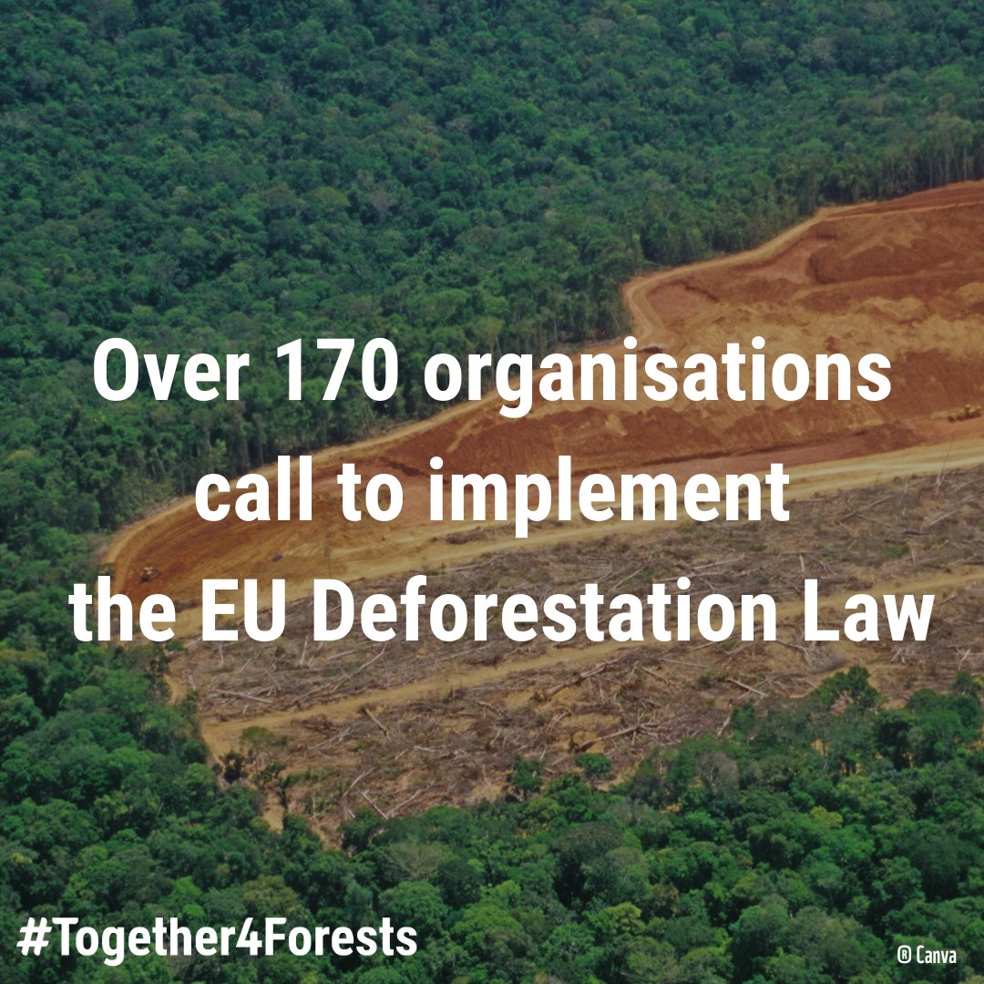 🚨🌲The landmark EU Deforestation Law is under threat! We call on President @vonderleyen to stand by the law. Europe can't backtrack on tackling deforestation & must swiftly implement this landmark law. Read our letter: together4forests.eu/news-resources…