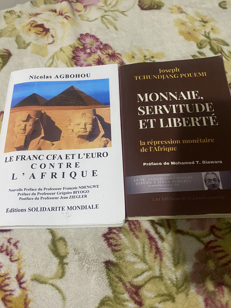 @PRL1111 Well, in the book from the left, I translate it for you “The CFA franc and the Euro Against Africa”, it is well documented that most of the political parties in all francophone countries are fully funded by France 🇫🇷. Should any party be openly against the Françafrique, France…