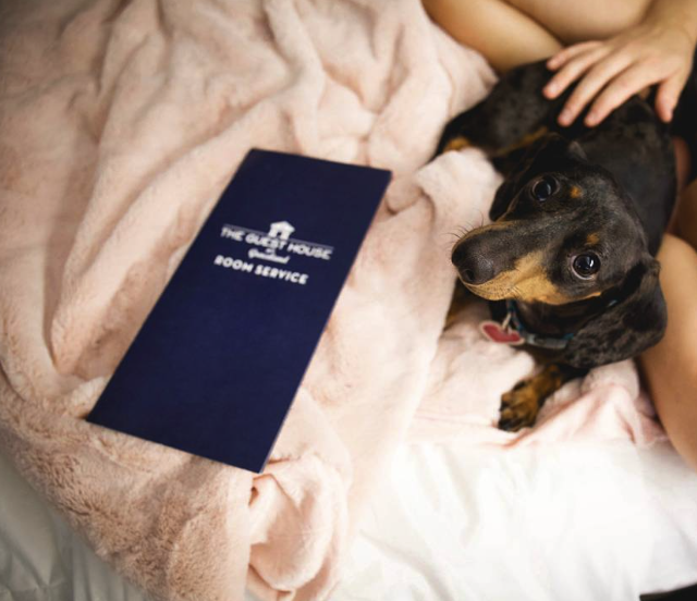Happy National Pet Day! 🐾 Planning a road trip with your furry companion? Look no further because we have the perfect place for you and your small dog to stay!🐶 Visit bit.ly/3Q0O8xv for reservations & info!