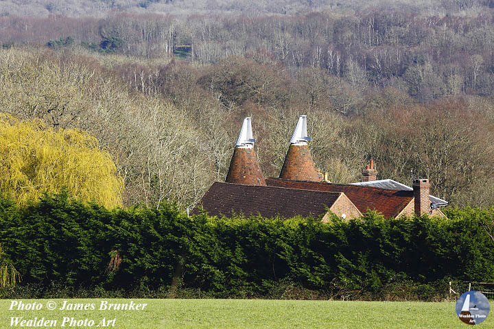 #Oast houses in early spring near #Tonbridge, #Kent, with plenty of tree textures, available as #prints and on #gifts here FREE SHIPPING in UK:  lens2print.co.uk/imageview.asp?… #AYearForArt #BuyIntoArt #landscapes #oasthouse #ruralscenes #wealdofkent #countryside #cowls #woodland #trees