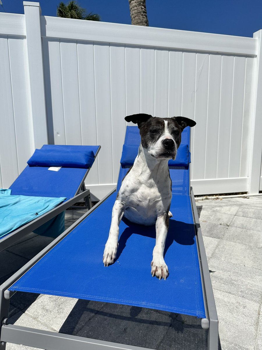 Morgan 🏴‍☠️ tweet media