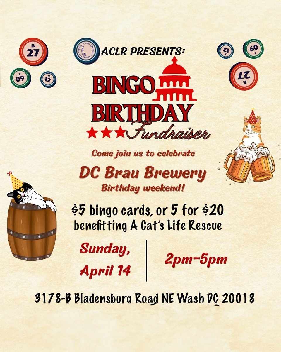 Love beer? 🍻 Love cats? 😸 Keep the good times rolling this Sunday, 4/14, from 2-5 pm with Bingo for @acatsliferescue. Let’s make a difference, one pint at a time. 🐾❤️ @acatsliferescue
