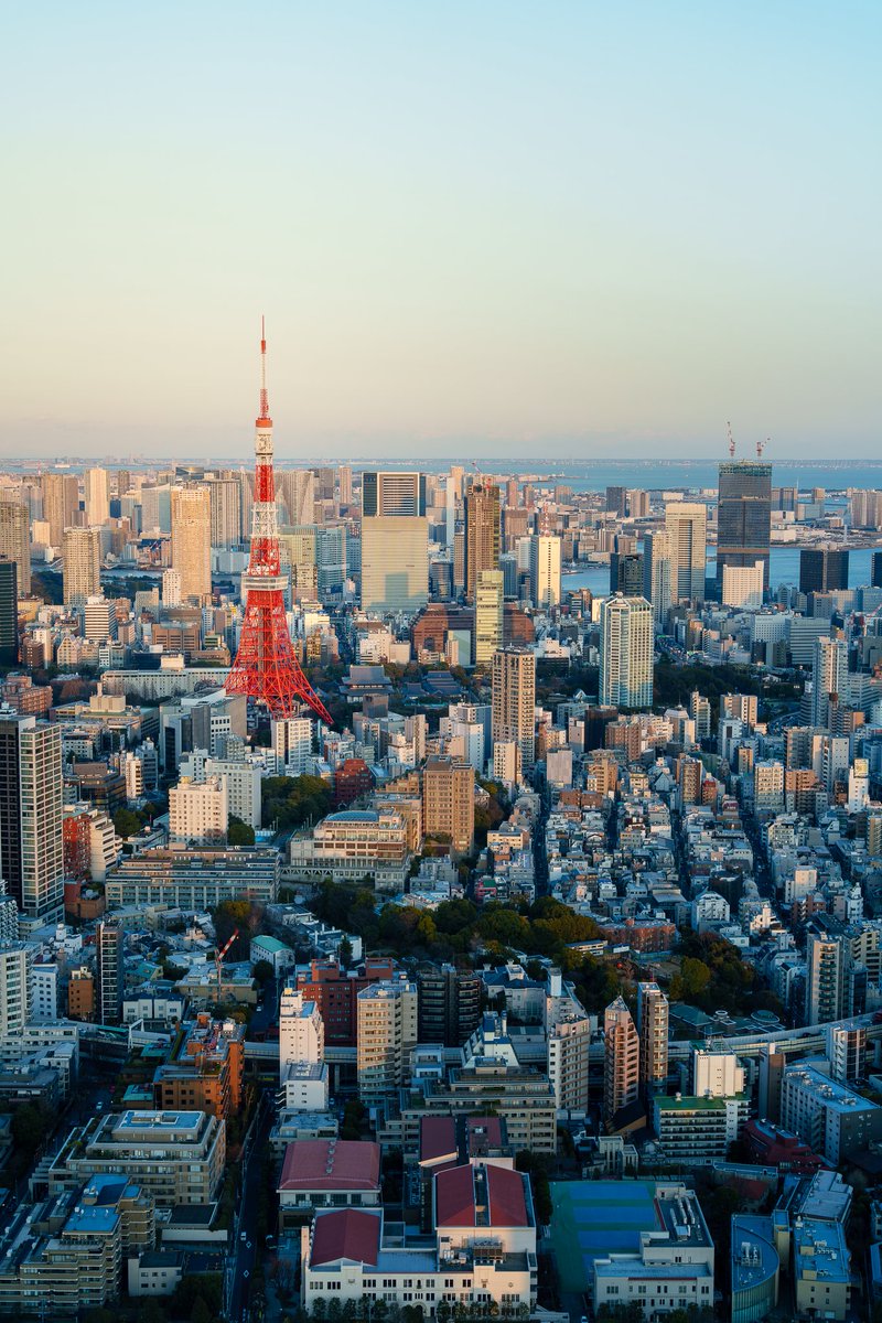 Jonathan Gardner tweet media