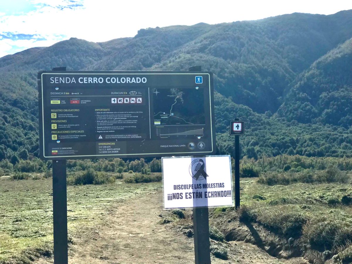 Esto pasa en el Parque Nacional Lanín