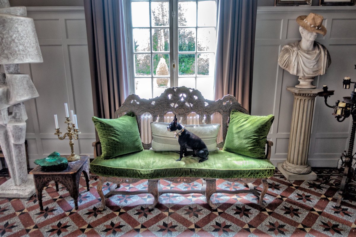 The #creaturecomforts of #home captured by @PeterRodgerPix. #DougTruppe #PeterRodgerPhoto #NationalPetDay #petphotography #dogphotography #portrait #portraiture #lifestyle #pet #pets #dog #dogs #documentary #bulldog #frenchbulldog #frenchie #pamperedpet #storytelling