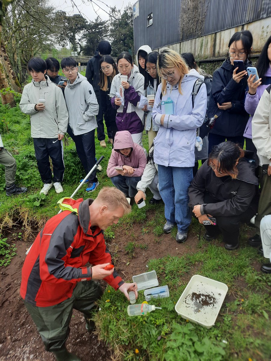 Israel Ikoyi tweet media