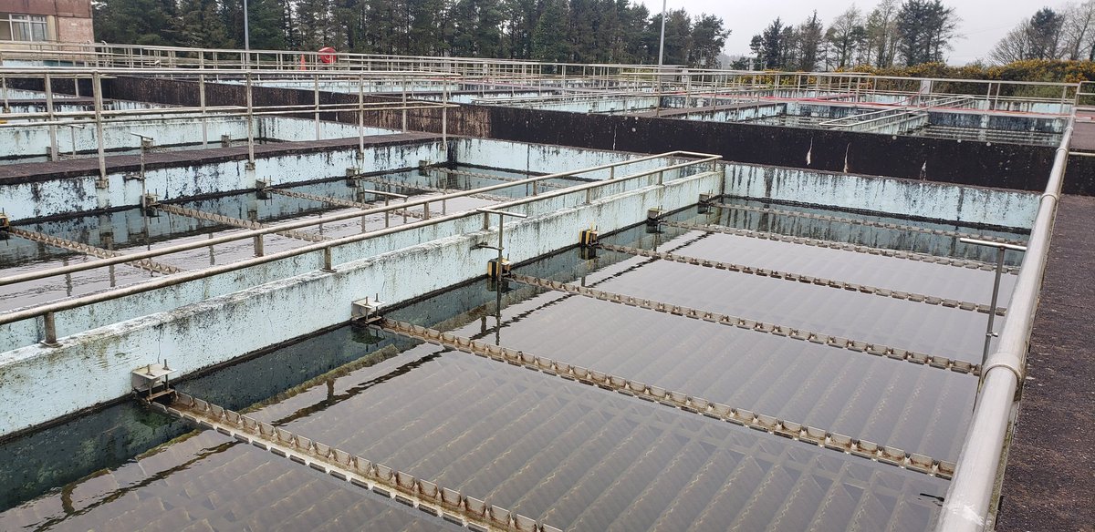 Stephen Hutton tweet media