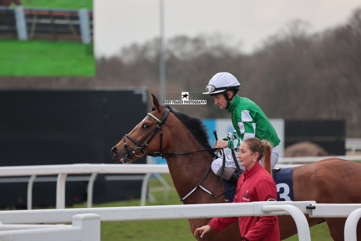 ADMIRED HOPE (Galileo x Penchant) at Newcastle on Monday, making her racecourse debut. Trained by @WilliamHaggas, owned by Zhang Yuesheng and ridden by Shane Foley. A half sister to the top class Garswood, winner of the Lennox Stakes and Prix Maurice de Gheest.