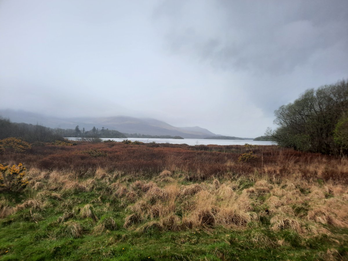 Israel Ikoyi tweet media