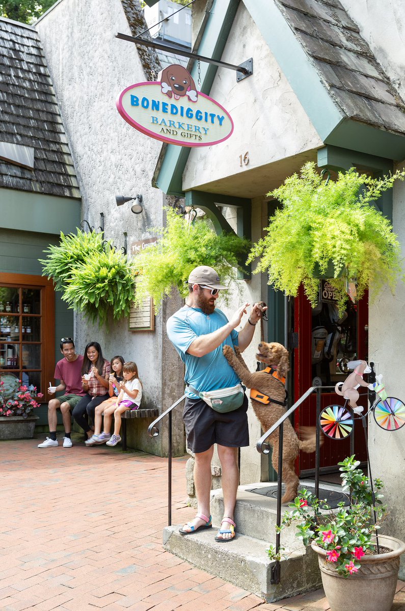 Happy #NationalPetDay! We paws-itively love our four-legged visitors. Pet-friendly guide to Gatlinburg: bit.ly/3xgPKwA