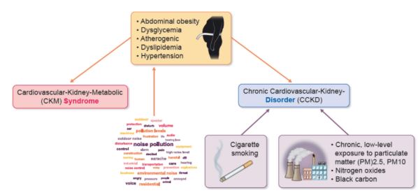 Now open access in @NDTsocial Cardiovascular-Kidney-Metabolic Syndrome versus Chronic Cardiovascular-Kidney Disorders by previous NDT EiC Carmine Zoccali ⏩academic.oup.com/ndt/advance-ar…