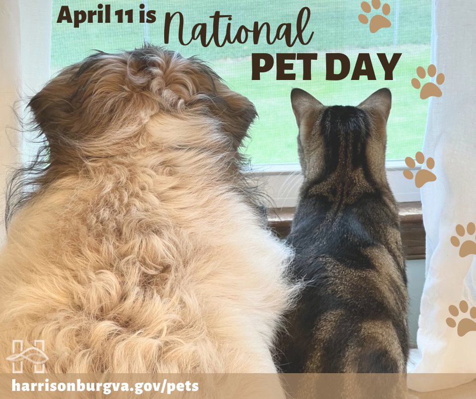 Today is #NationalPetDay! Whether it's a turtle, cat, dog, fish, bird, etc., we hope you have a great day with your pets! Find helpful information for Harrisonburg pet owners at: harrisonburgva.gov/pets